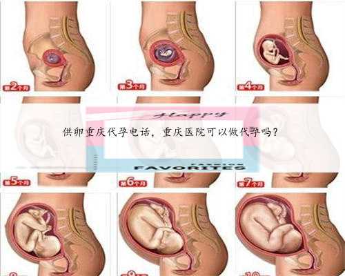 供卵重庆代孕电话，重庆医院可以做代孕吗？