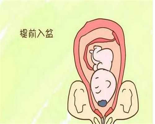 6周可以香港验血吗,香港验血结果是ve是男孩吗,来说说关于二胎宝妈的备孕史以及去香港抽血鉴