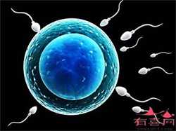 2022年单身女性在温州做试管婴儿能用供精吗？