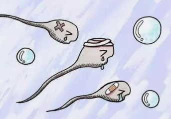 重庆供卵助孕包成功，供卵试管生的孩子